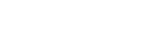 Logo de Partner Display